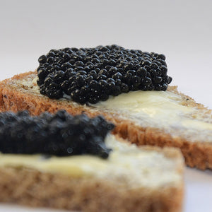Caviar Sturgeon