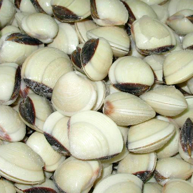 Clam whole cooked 17/22 (Frozen)