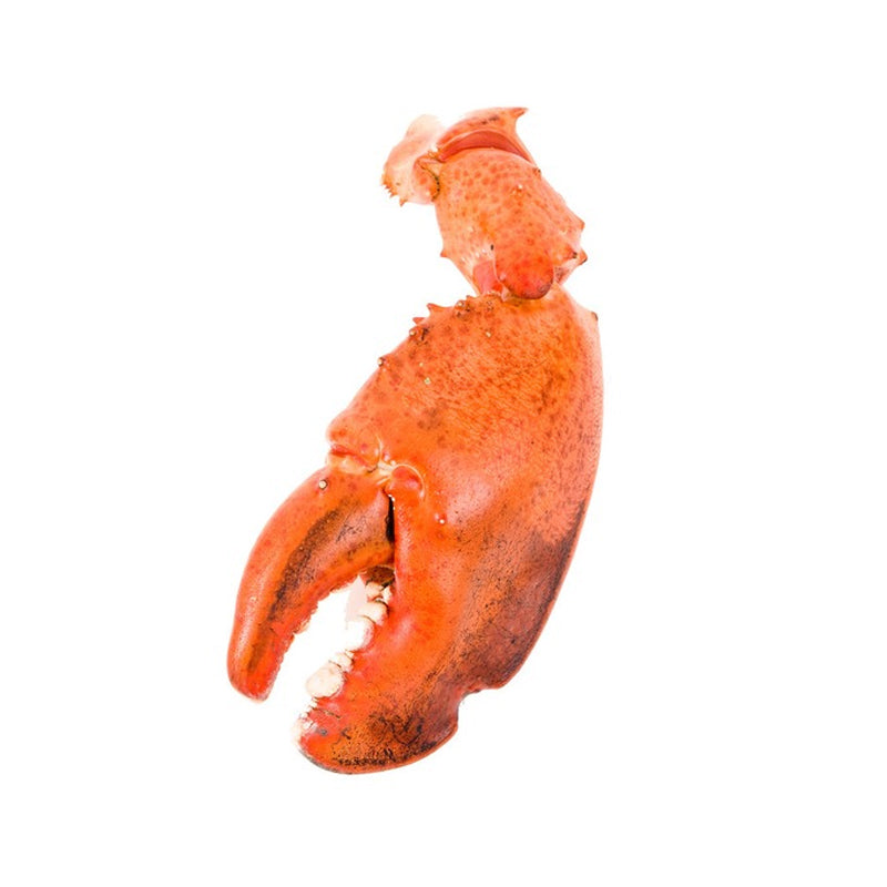 Lobster Claw & Arm Cooked (Frozen)