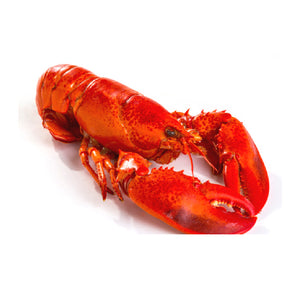 Lobster Cooked 12-14oz (Frozen)