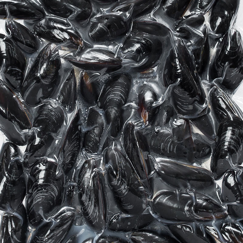 Mussel Whole Cooked (Frozen)