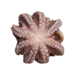 Octopus Jumbo 3-4 kg 1 piece (Frozen)