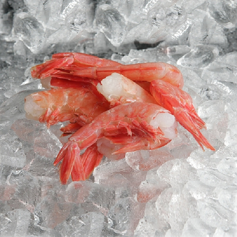 Shrimp Red HLSO Wild U-15 (Frozen)