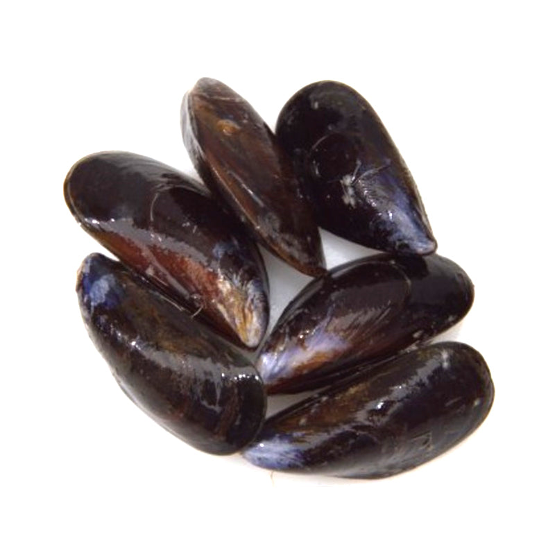 Mussels Blue PEI (Fresh)
