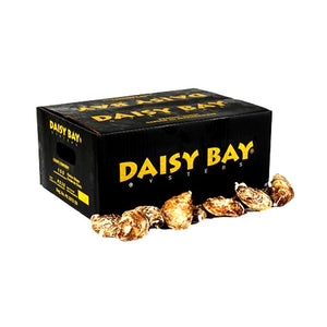 Oysters Daisy Bay (Fresh)